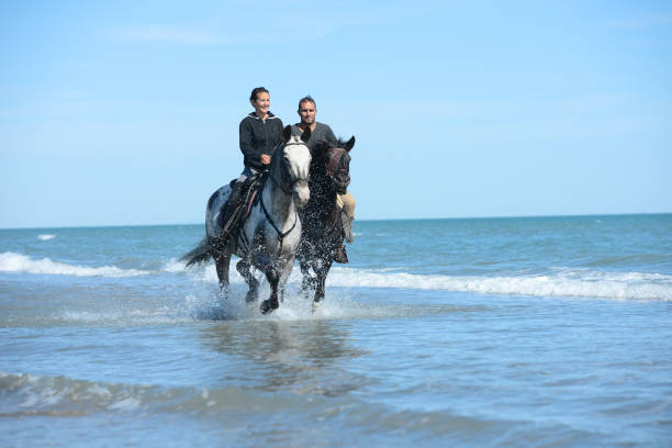 istock young people riding horses on beach in sunny summer day 538904048