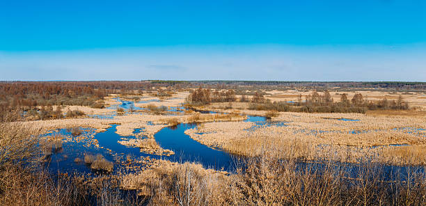 istock Spills Of River In Spring Season. Sunny Spring Day. 538904932