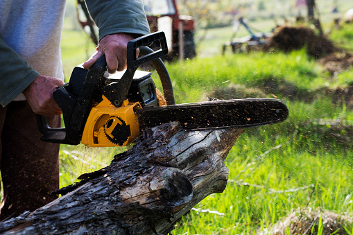 Man cuts a fallen tree, dangerous work