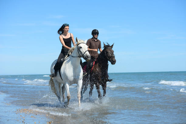 istock young people riding horses on beach in sunny summer day 538905166