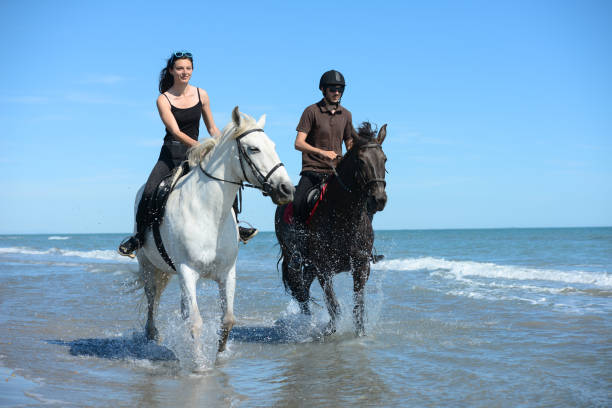 istock young people riding horses on beach in sunny summer day 538905582