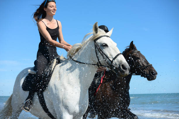 jovens equitação de sol na praia em dia de verão - horse animals in the wild water beach imagens e fotografias de stock