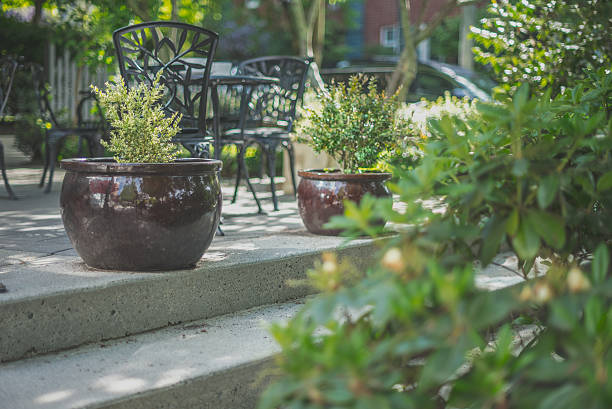 istock Flowering planters on cafe steps; summer street view 538907010