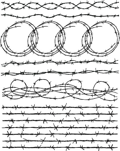 barbed wire Vector drawing of a barbwire in the different forms. rusty barb stock illustrations