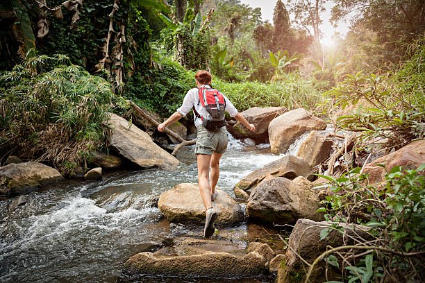 istock Woman with backpack hiking in rainforest 538916677