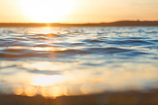 istock Sunset at the lake 538917505