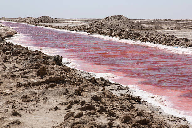 istock Salt lake Tunisia Africa 538918213