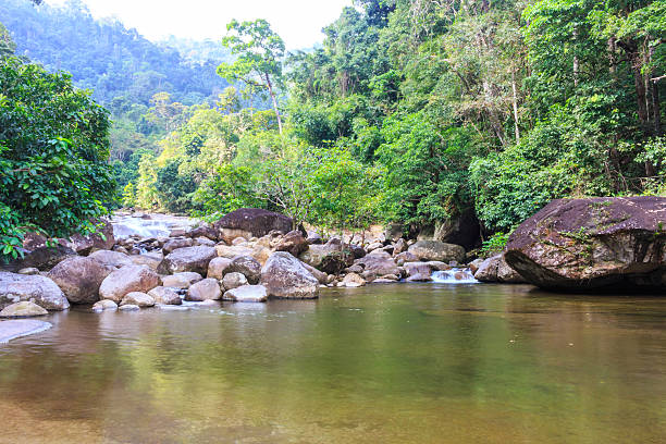 istock Waterfall in tropical forest. Mountain river, stones with moss,T 538919297