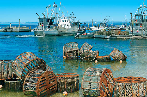istock Oyster industry on Willapa Bay in Washington state 538928627