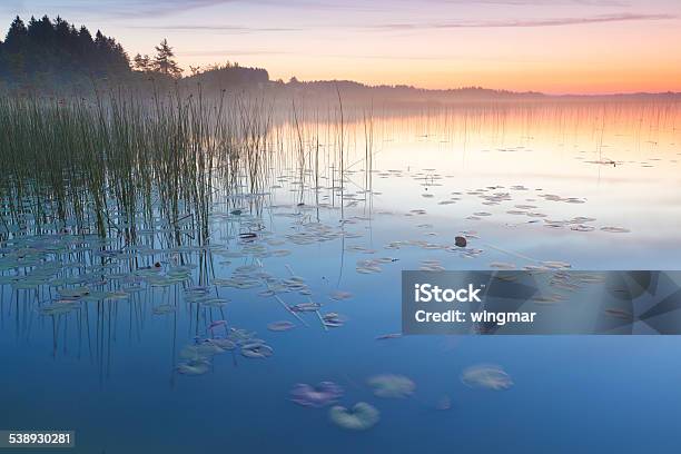 Sunset At Lake Bannwaldsee In Bavaria Germany Stock Photo - Download Image Now - 2015, Allgau, Awe