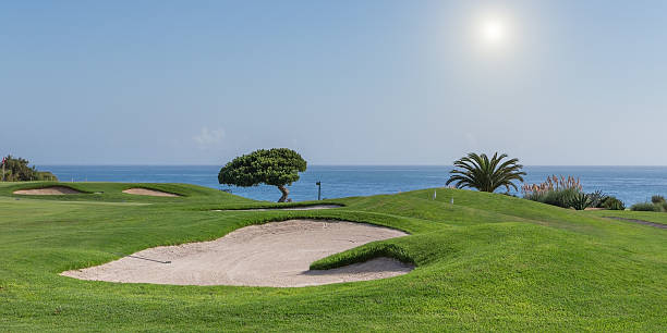 istock Panorama of a golf course on a sea background. 538930543