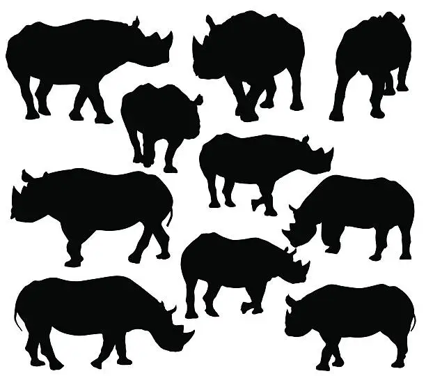 Vector illustration of Rhinoceros Silhouette