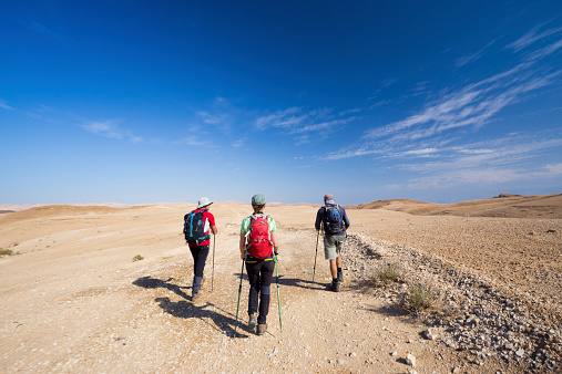 Group of backpackers walking desert road rear view. Israel, Judea desert.