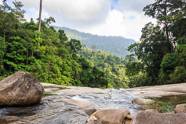 istock Waterfall in tropical forest. Mountain river, stones with moss,T 538931997