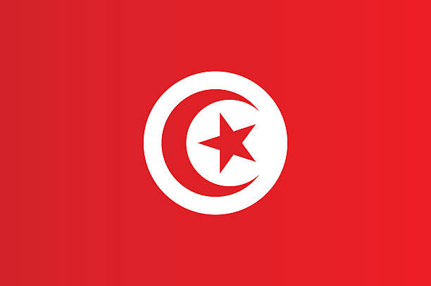 튀니지 플래깅 - tunisia stock illustrations