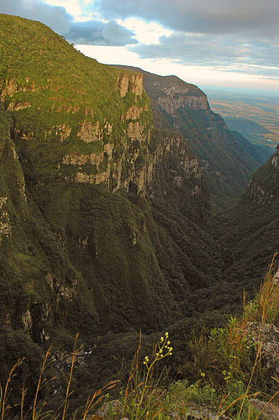 istock Majestic canyon in southern Brazil 538932841
