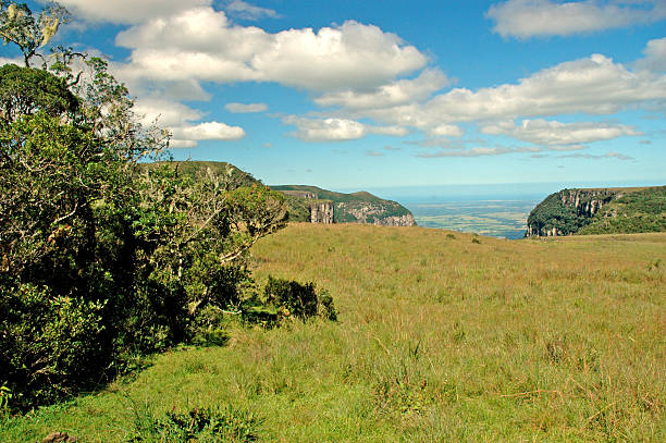 istock Majestic canyon in southern Brazil 538933155