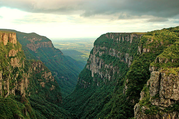 Majestic canyon in southern Brazil Serra Geral National Park, Rio Grande do Sul araucaria heterophylla stock pictures, royalty-free photos & images