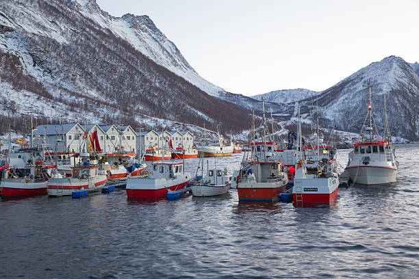 istock Norway in winter - trip to Senja 538946393