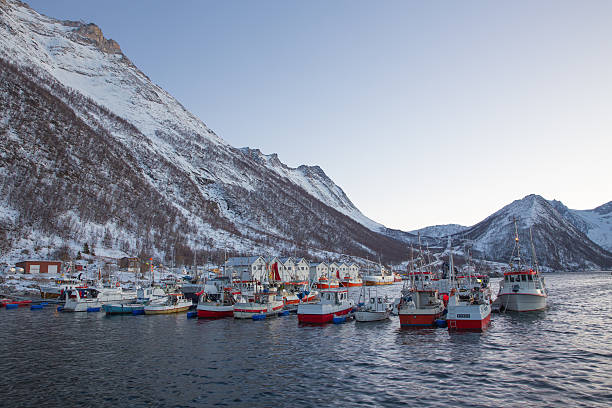 istock Norway in winter - trip to Senja 538946399