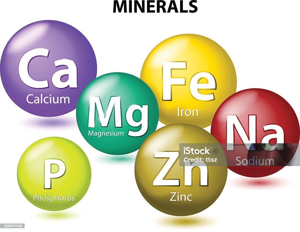 Essential Minerals Essential chemical minerals or Dietary element. mineral nutrients. minerals and trace minerals are inorganic elements. Human body needs them to grow and stay healthy. Vector Illustration Mineral stock vector