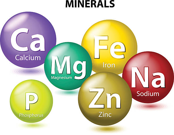 Essential Minerals Essential chemical minerals or Dietary element. mineral nutrients. minerals and trace minerals are inorganic elements. Human body needs them to grow and stay healthy. Vector Illustration salt mineral stock illustrations