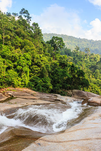 istock Waterfall in tropical forest. Mountain river, stones with moss,T 538948305