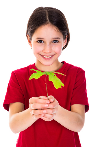 Close up of boy standing near a small tree recently planted