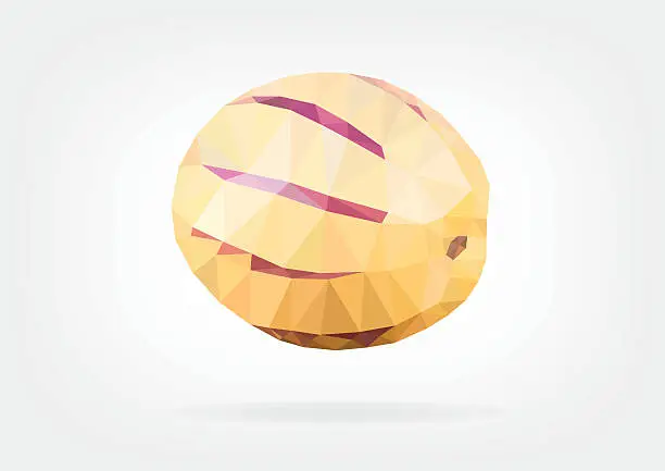 Vector illustration of Low Poly Pepino Melon fruit