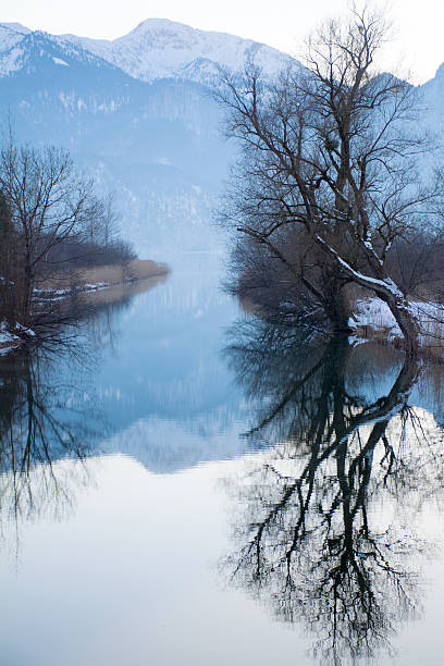 istock mountain lake in winter, bare trees, reflection in calm water 538951763