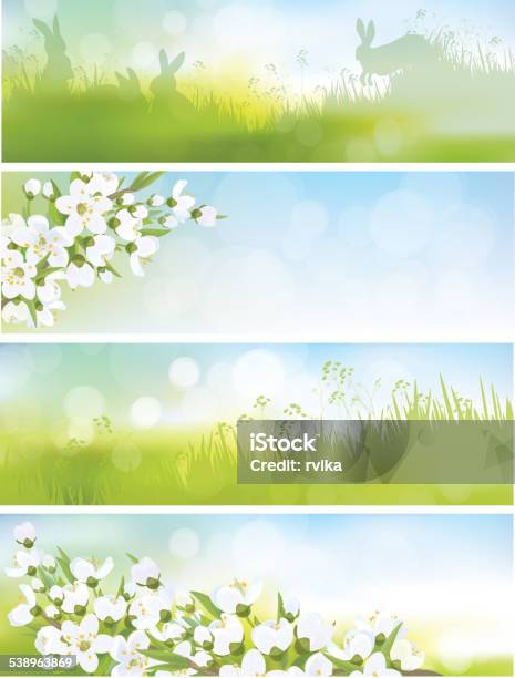 Vector Spring Banners Blossoming Tree Branch Nature Backgrounds Stock Illustration - Download Image Now