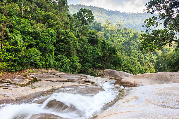 istock Waterfall in tropical forest. Mountain river, stones with moss,T 538966725