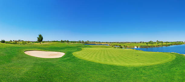 panorama-golfplatz, grünen gras. auf den see. - golf landscape golf course tree stock-fotos und bilder