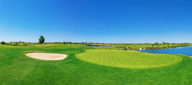 panorama di un campo da golf lussureggiante erba. sul lago. - golf landscape golf course tree foto e immagini stock