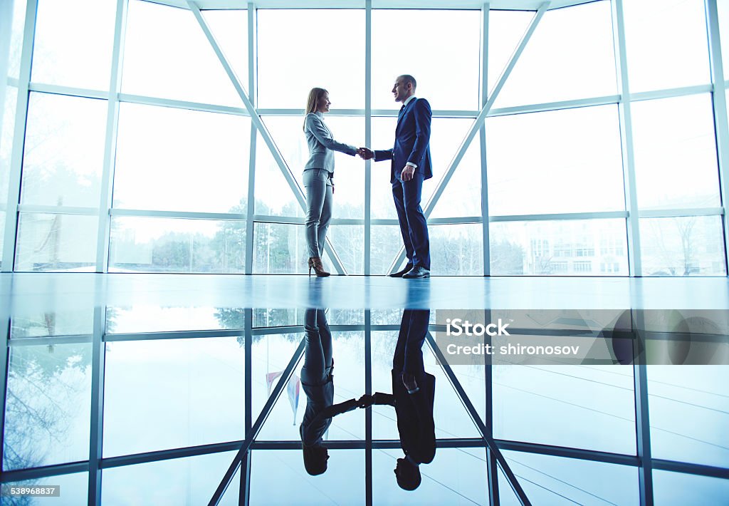 Making deal Young business partners handshaking after making agreement Handshake Stock Photo