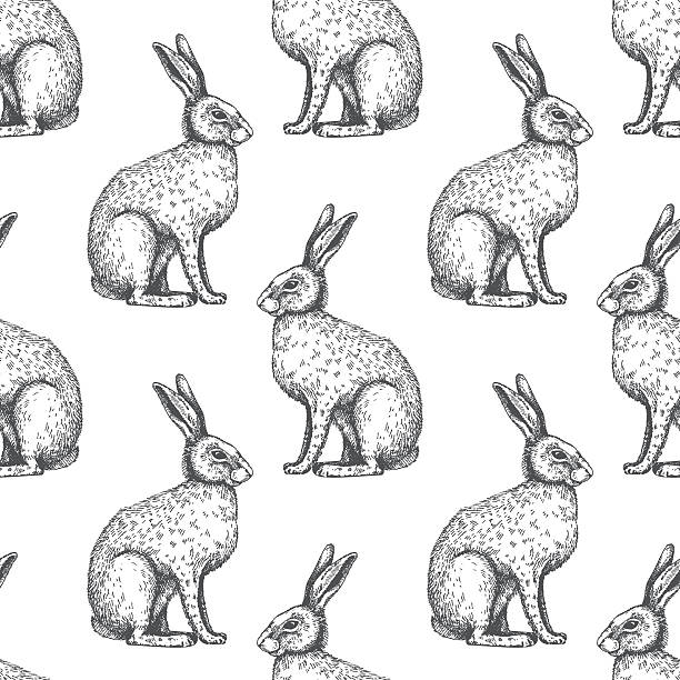 векторный фон с кроликом эскиз. - заяц stock illustrations