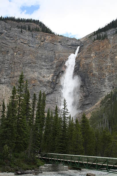istock Bridge leading to Takakkaw Falls 538980851