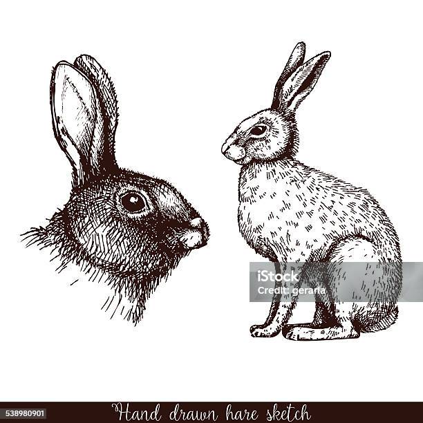 Decorative Hare Portrait Stock Illustration - Download Image Now - Rabbit - Animal, Hare, Engraving
