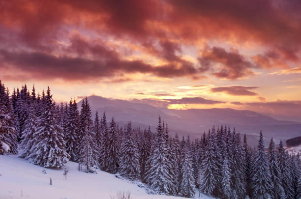 istock Carpathian mountain valley covered with fresh snow. Majestic lan 538981242