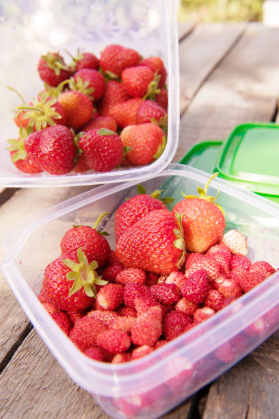 istock ripe fresh strawberry on grass 538981290