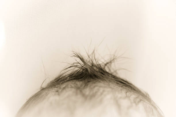 istock baby hair close. newborn 538981328
