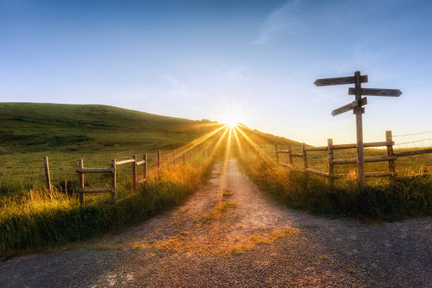 istock wooden signpost near a path 538981406