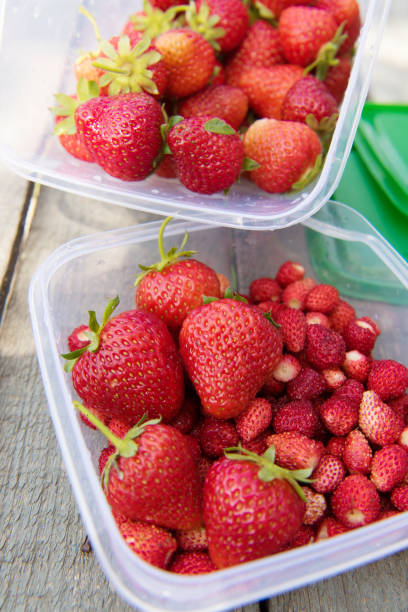istock ripe fresh strawberry on grass 538981584