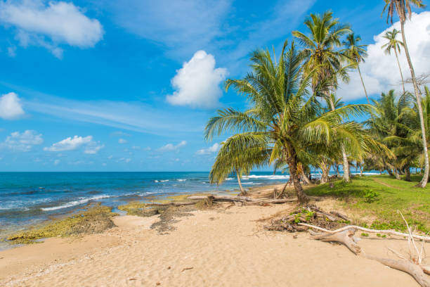 istock Playa Cocles - beautiful tropical beach - Costa Rica 538983242