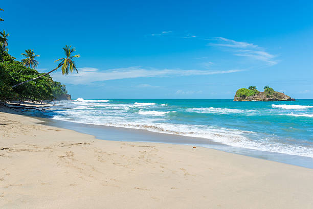 Playa Cocles - beautiful tropical beach - Costa Rica Playa Cocles - beautiful tropical beach close to Puerto Viejo - Costa Rica limon province photos stock pictures, royalty-free photos & images