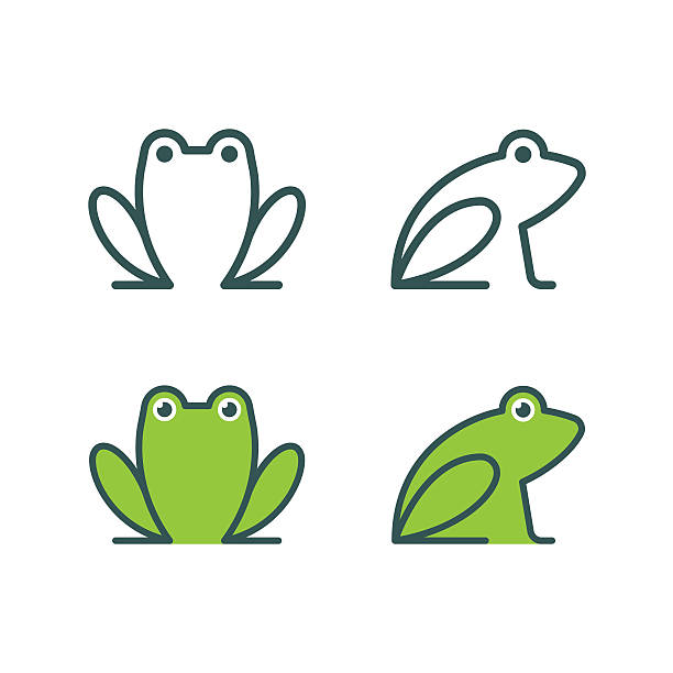 Frog icon logo Minimalistic stylized catroon frog logo. Line icon and colored version, front view and profile. Simple frog or toad vector illustration set. toad illustrations stock illustrations