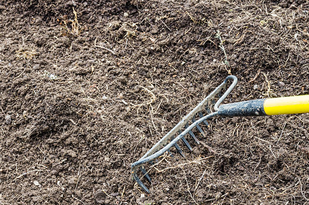 istock Home vegetable gardening preparation 538988045