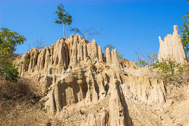 istock Soil Pole Wonderful Nan,Thailand 538989457