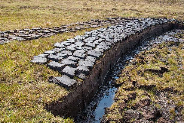 Peat (turf) cut and left to dry in Scottish Highlands Peat (turf) cut and left to dry on a wetland in the Scottish Highlands Peat stock pictures, royalty-free photos & images