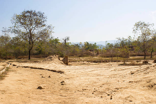istock Soil Pole Wonderful Nan,Thailand 538991253